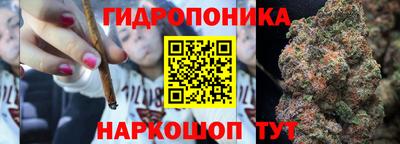 шишки Краснокаменск