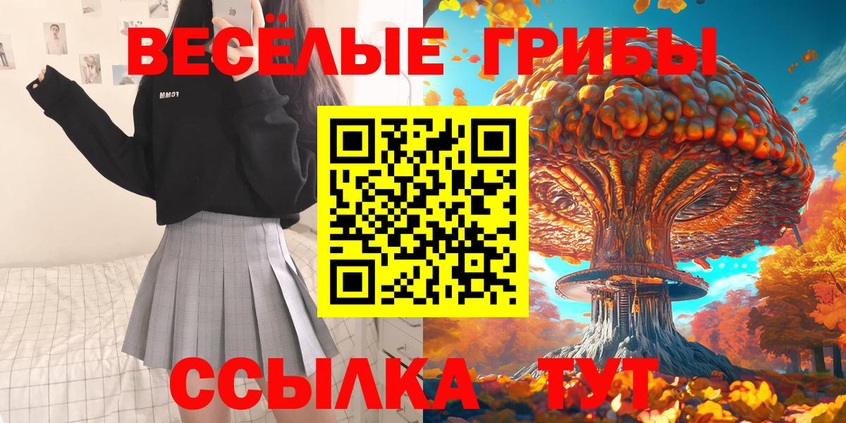 Галлюциногенные грибы ЛСД  Псилоцибиновые грибы Magic Shrooms  где купить наркоту  Вход с VPN  Каменск-Уральский 