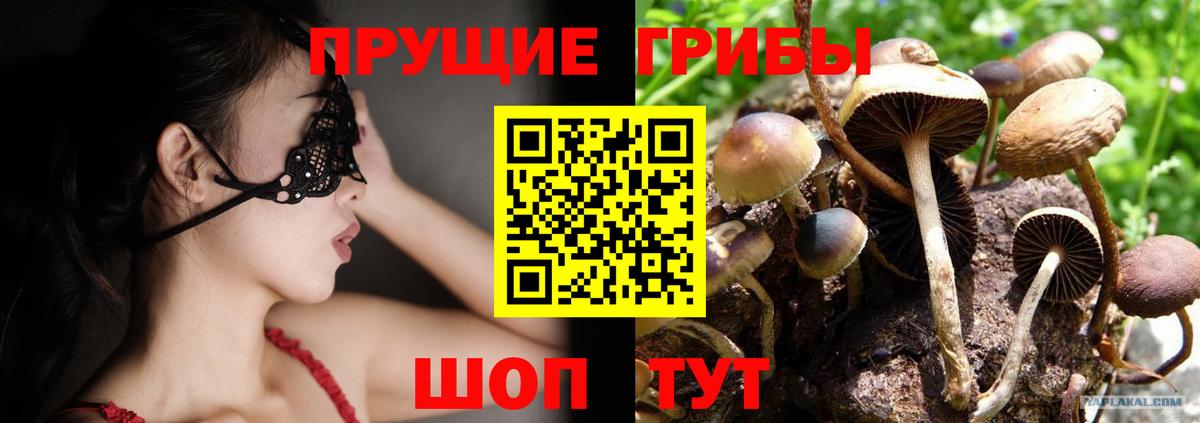 Псилоцибиновые грибы прущие грибы Каменск-Уральский